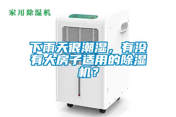 下雨天很潮濕，有沒有大房子適用的除濕機(jī)？