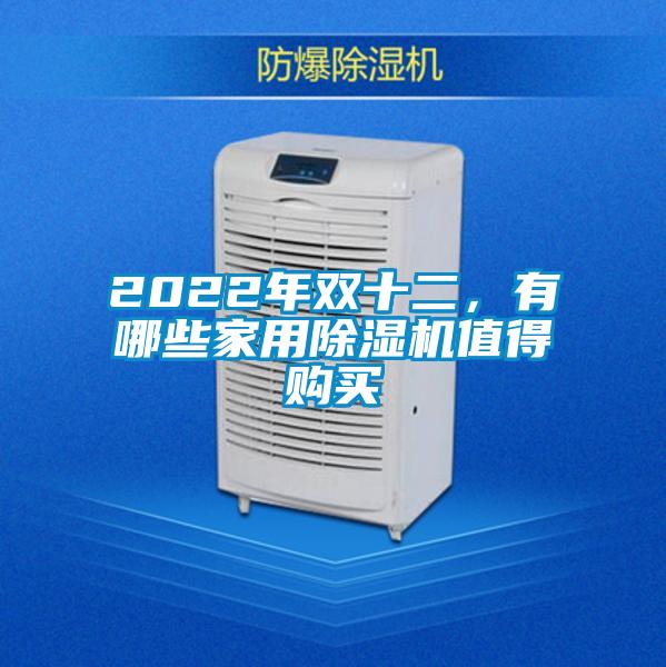 2022年雙十二，有哪些家用除濕機(jī)值得購(gòu)買