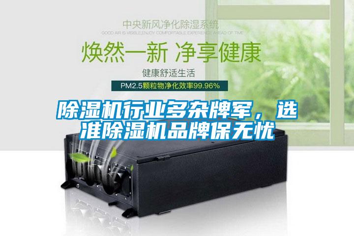除濕機(jī)行業(yè)多雜牌軍，選準(zhǔn)除濕機(jī)品牌保無憂