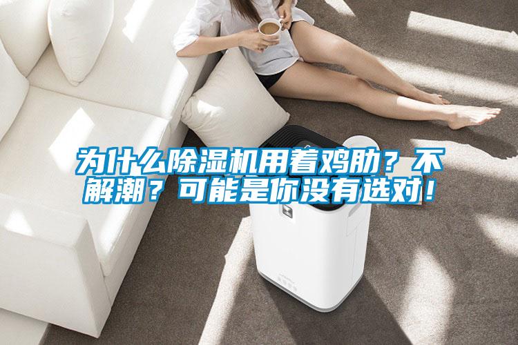 為什么除濕機(jī)用著雞肋？不解潮？可能是你沒有選對(duì)！