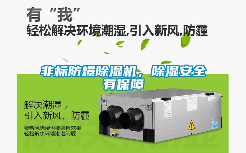 非標防爆除濕機，除濕安全有保障