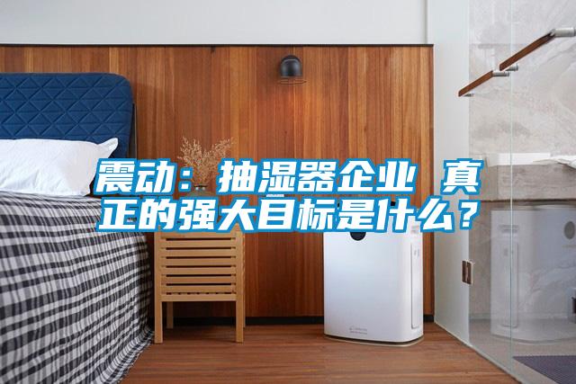 震動：抽濕器企業(yè) 真正的強(qiáng)大目標(biāo)是什么？