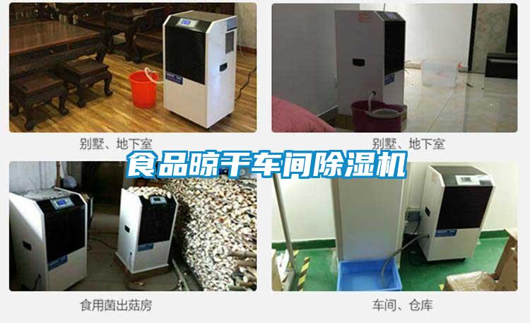 食品晾干車間除濕機(jī)