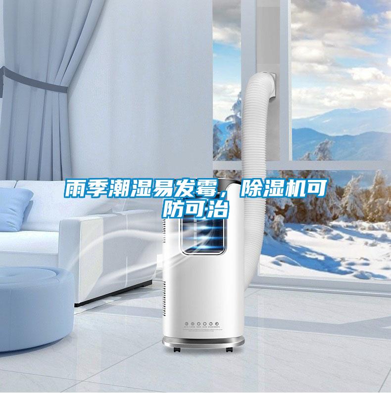雨季潮濕易發(fā)霉，除濕機(jī)可防可治