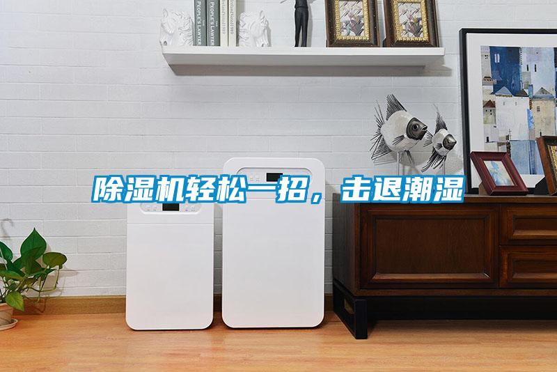 除濕機(jī)輕松一招，擊退潮濕