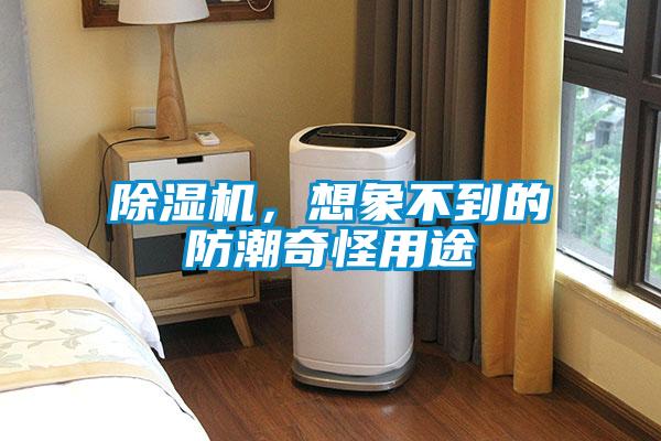 除濕機，想象不到的防潮奇怪用途