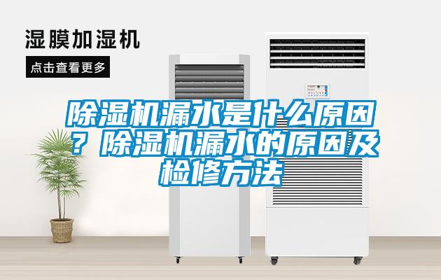 除濕機(jī)漏水是什么原因？除濕機(jī)漏水的原因及檢修方法