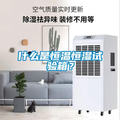 什么是恒溫恒濕試驗箱？