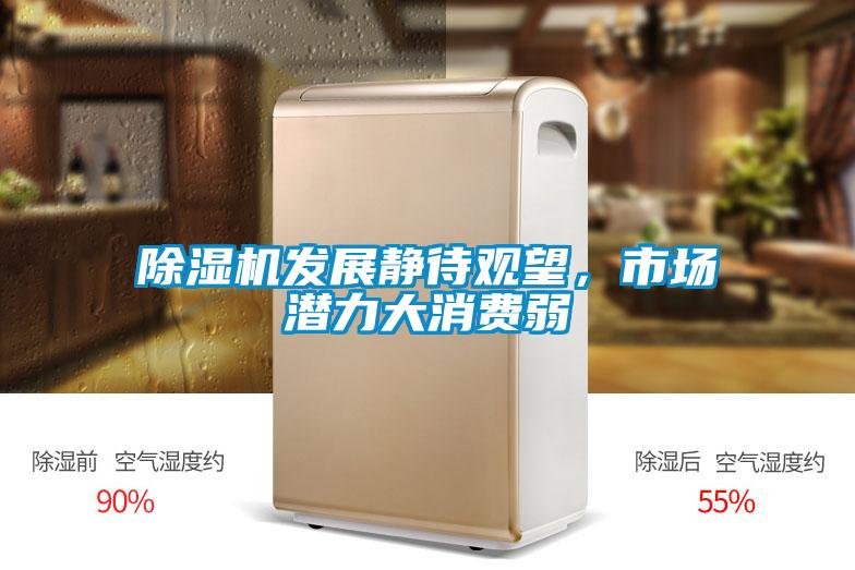 除濕機(jī)發(fā)展靜待觀望，市場潛力大消費(fèi)弱