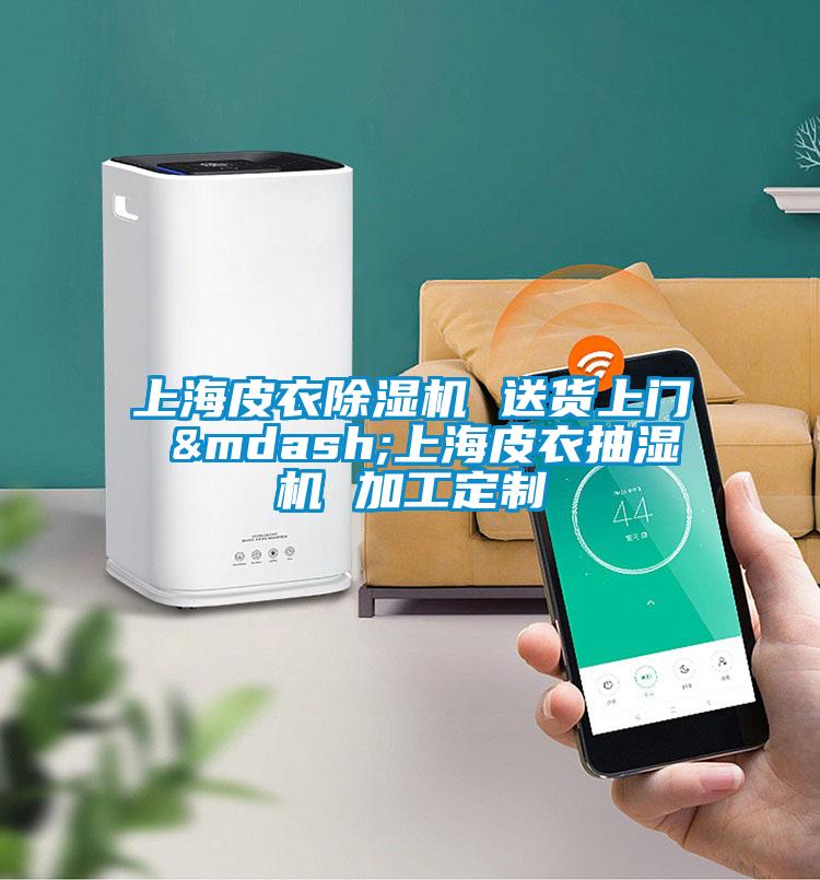 上海皮衣除濕機(jī) 送貨上門(mén) —上海皮衣抽濕機(jī) 加工定制
