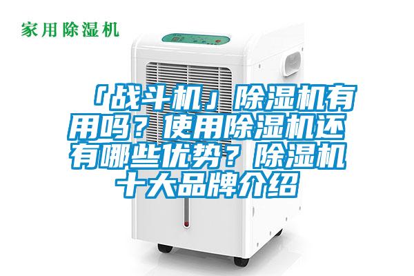 「戰(zhàn)斗機(jī)」除濕機(jī)有用嗎？使用除濕機(jī)還有哪些優(yōu)勢？除濕機(jī)十大品牌介紹