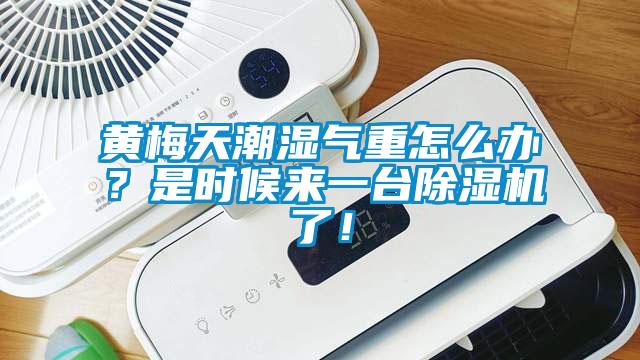 黃梅天潮濕氣重怎么辦？是時候來一臺除濕機了！