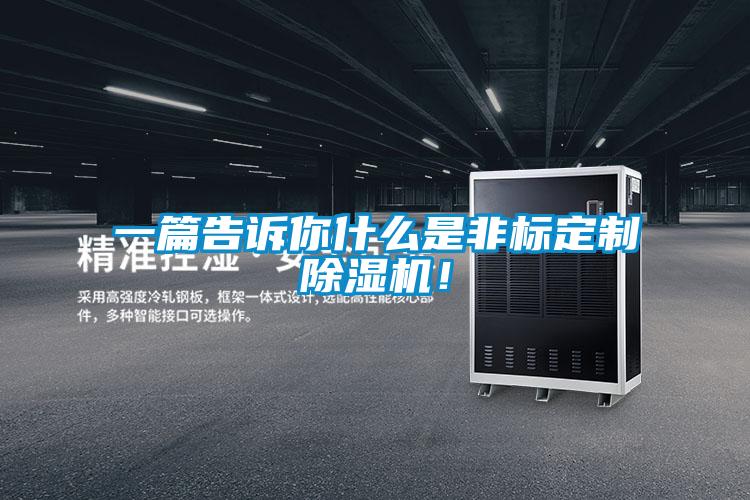 一篇告訴你什么是非標(biāo)定制除濕機(jī)！