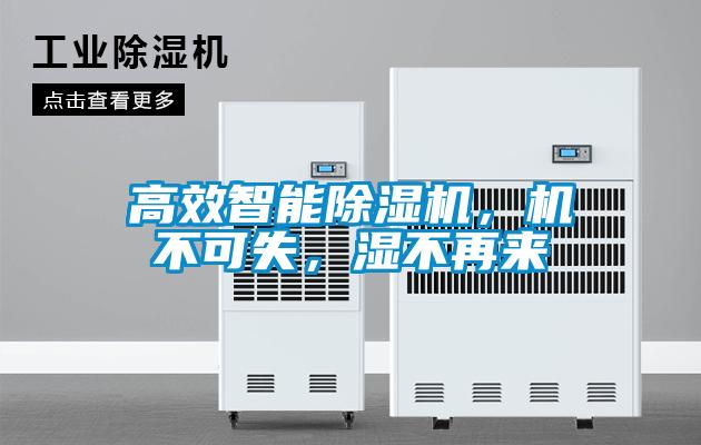 高效智能除濕機(jī)，機(jī)不可失，濕不再來(lái)