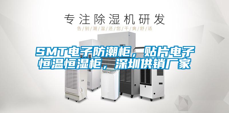 SMT電子防潮柜，貼片電子恒溫恒濕柜，深圳供銷廠家
