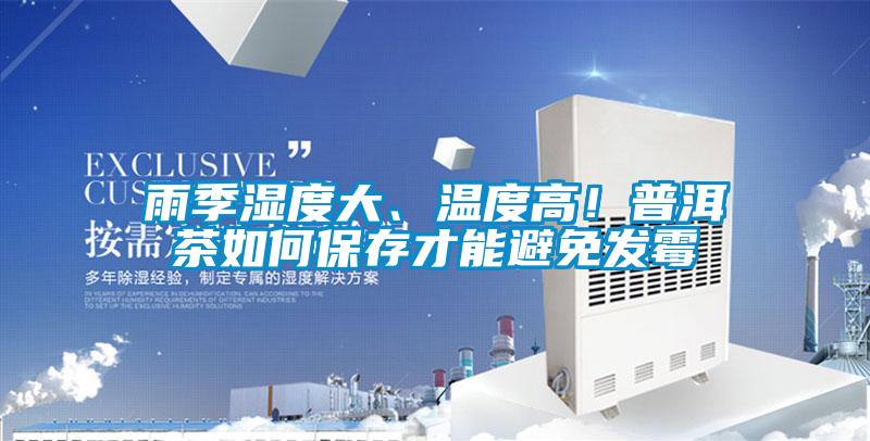 雨季濕度大、溫度高！普洱茶如何保存才能避免發(fā)霉