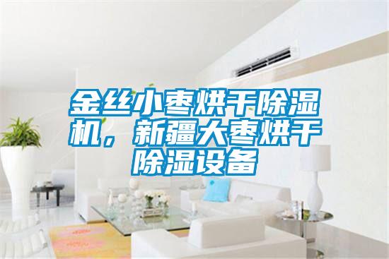 金絲小棗烘干除濕機(jī)，新疆大棗烘干除濕設(shè)備