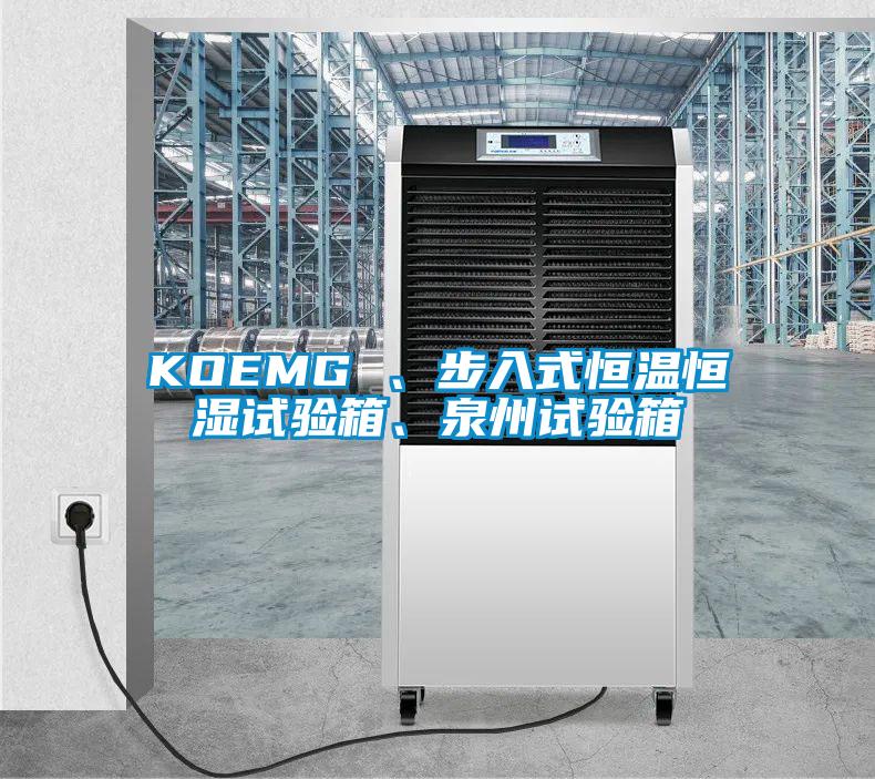 KOEMG 、步入式恒溫恒濕試驗箱、泉州試驗箱