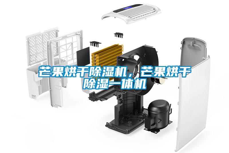 芒果烘干除濕機，芒果烘干除濕一體機
