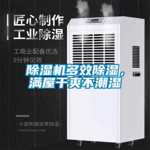 除濕機多效除濕，滿屋干爽不潮濕