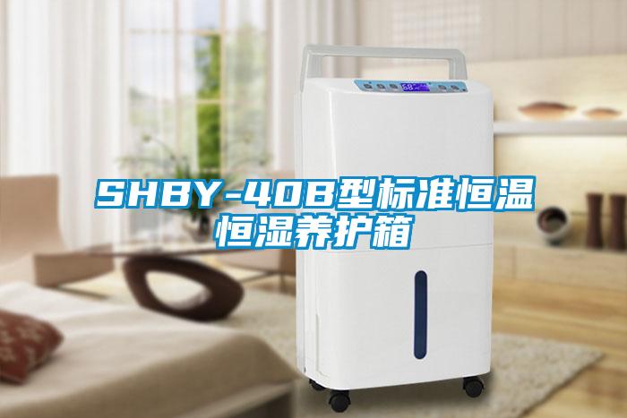 SHBY-40B型標準恒溫恒濕養(yǎng)護箱