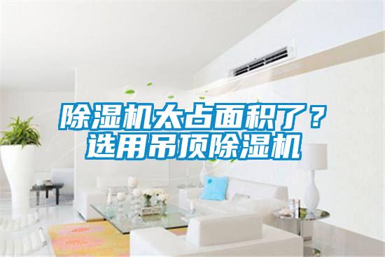 除濕機(jī)太占面積了？選用吊頂除濕機(jī)
