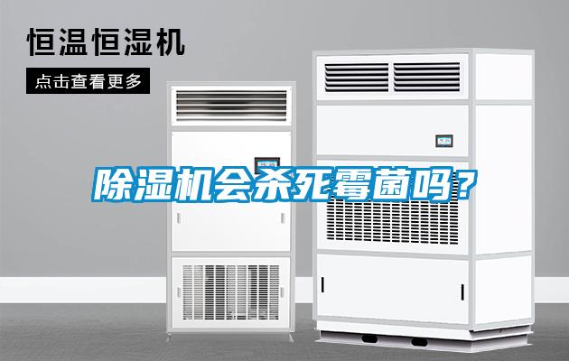 除濕機(jī)會殺死霉菌嗎？