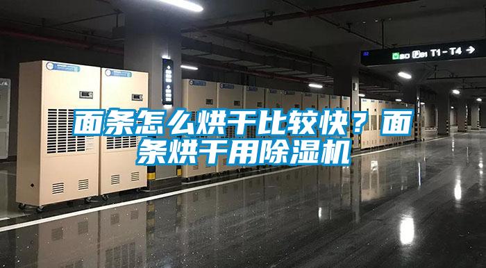 面條怎么烘干比較快？面條烘干用除濕機(jī)