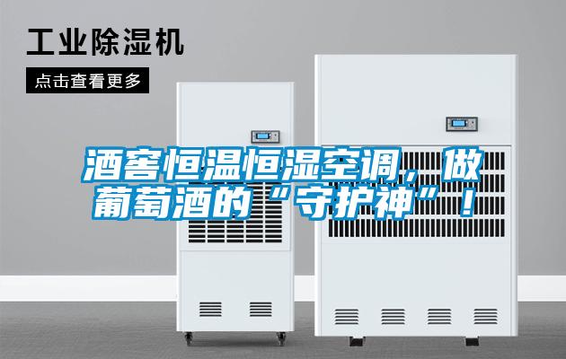 酒窖恒溫恒濕空調(diào)，做葡萄酒的“守護(hù)神”！