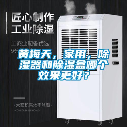 黃梅天，家用，除濕器和除濕盒哪個(gè)效果更好？