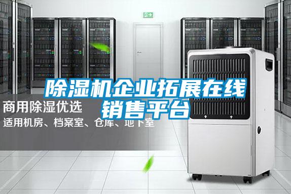 除濕機(jī)企業(yè)拓展在線銷售平臺