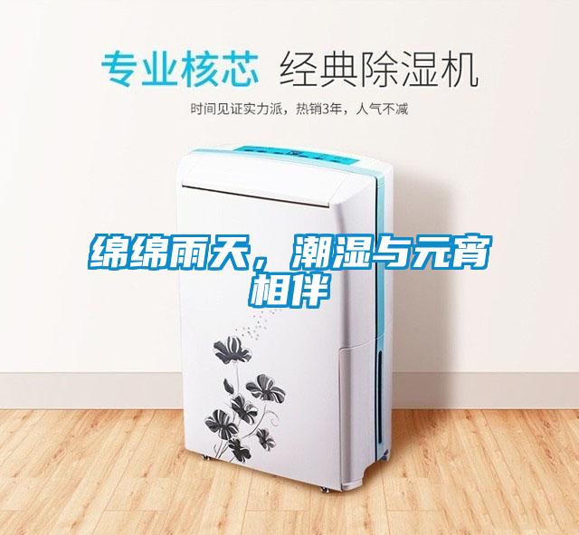 綿綿雨天，潮濕與元宵相伴