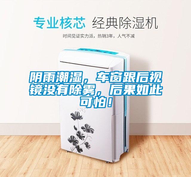 陰雨潮濕，車窗跟后視鏡沒有除霧，后果如此可怕！
