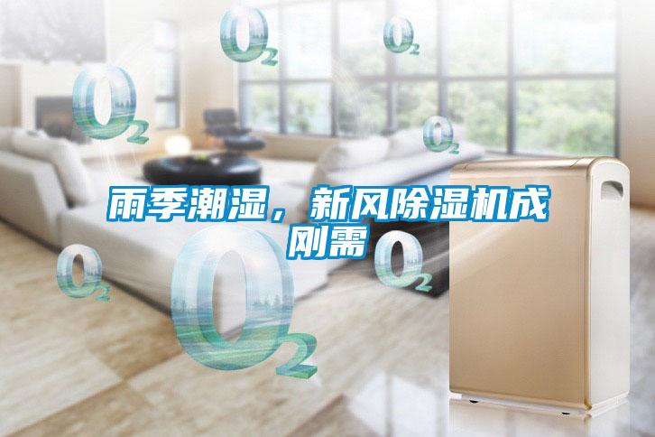 雨季潮濕，新風(fēng)除濕機(jī)成剛需
