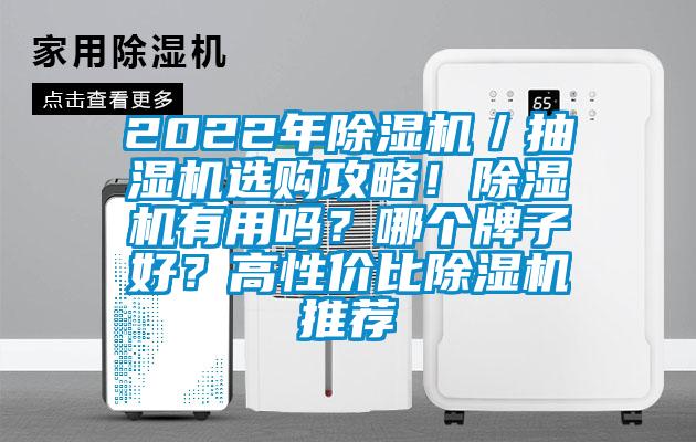 2022年除濕機／抽濕機選購攻略！除濕機有用嗎？哪個牌子好？高性價比除濕機推薦