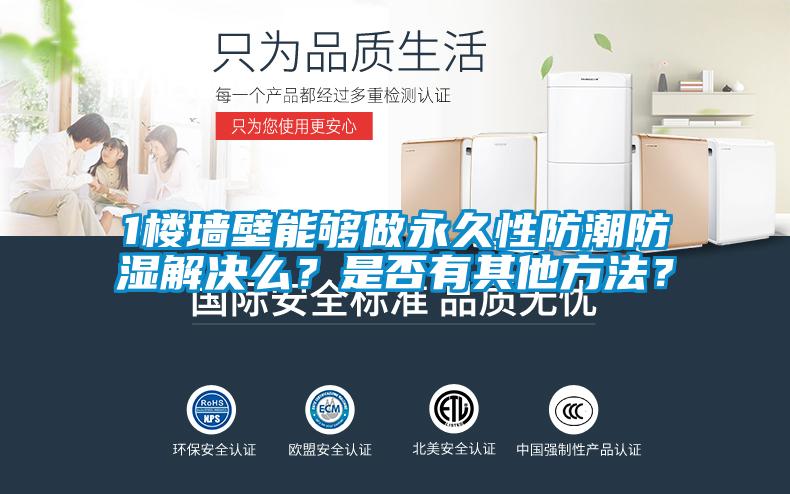 1樓墻壁能夠做永久性防潮防濕解決么？是否有其他方法？