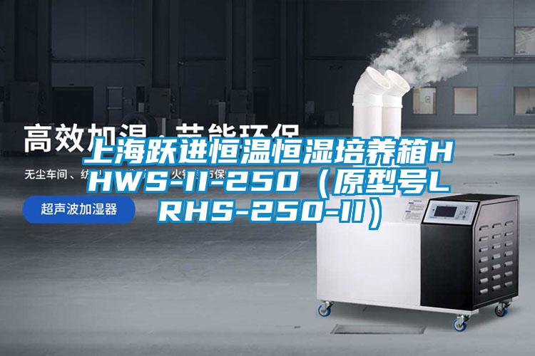 上海躍進(jìn)恒溫恒濕培養(yǎng)箱HHWS-II-250（原型號LRHS-250-II）