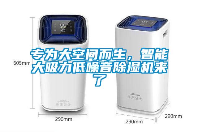 專為大空間而生，智能大吸力低噪音除濕機(jī)來(lái)了