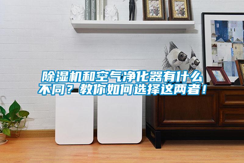 除濕機和空氣凈化器有什么不同？教你如何選擇這兩者！