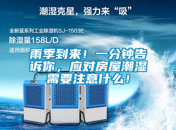 雨季到來！一分鐘告訴你，應(yīng)對(duì)房屋潮濕需要注意什么！