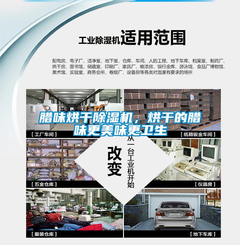 臘味烘干除濕機(jī)，烘干的臘味更美味更衛(wèi)生