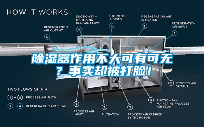 除濕器作用不大可有可無(wú)？事實(shí)卻被打臉！