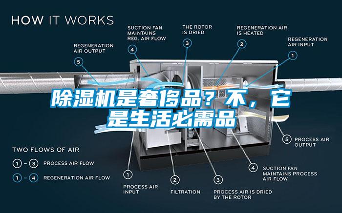 除濕機是奢侈品？不，它是生活必需品