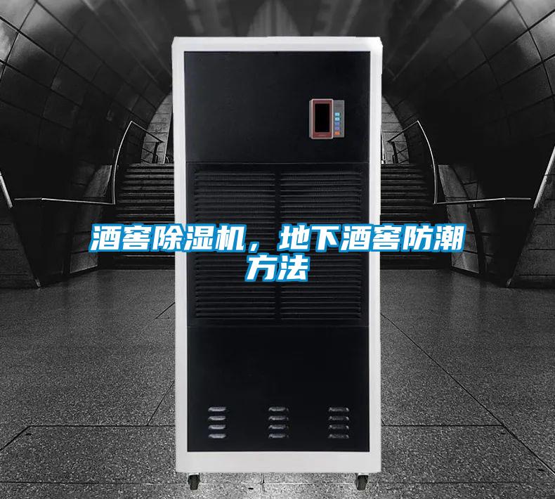 酒窖除濕機(jī)，地下酒窖防潮方法