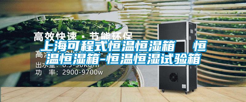 上?？沙淌胶銣睾銤裣? 恒溫恒濕箱-恒溫恒濕試驗(yàn)箱