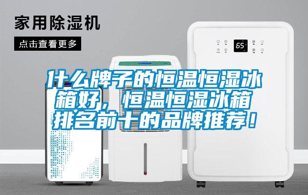 什么牌子的恒溫恒濕冰箱好，恒溫恒濕冰箱排名前十的品牌推薦！