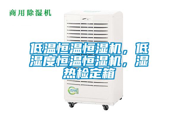 低溫恒溫恒濕機，低濕度恒溫恒濕機，濕熱檢定箱