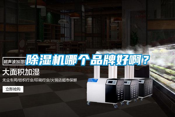 除濕機(jī)哪個(gè)品牌好??？