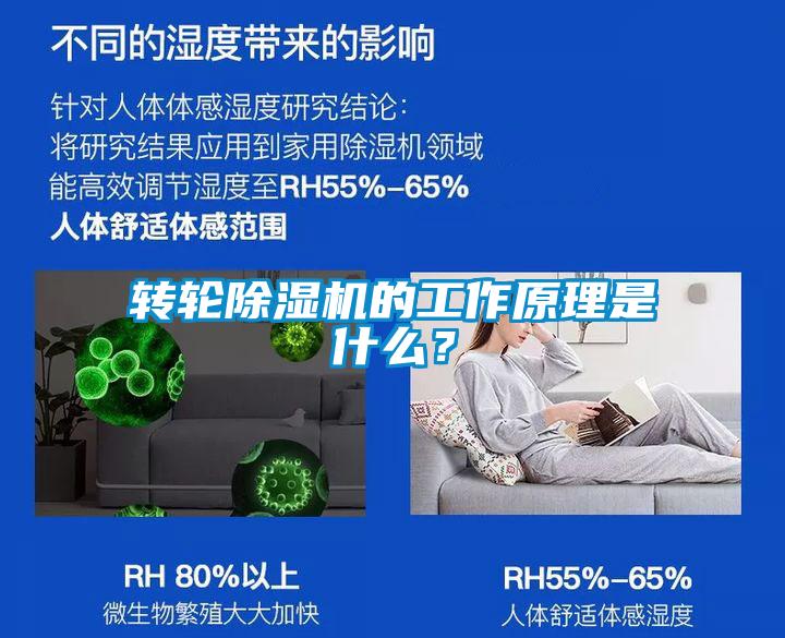 轉(zhuǎn)輪除濕機的工作原理是什么？