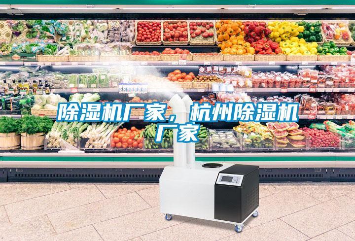 除濕機(jī)廠家，杭州除濕機(jī)廠家